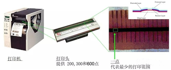 斑馬打印機